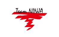 Team NINJAブランド